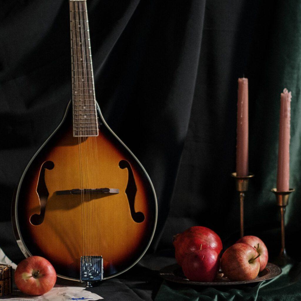 Lauteninstrumente: - Die Welt der Saiteninstrumente