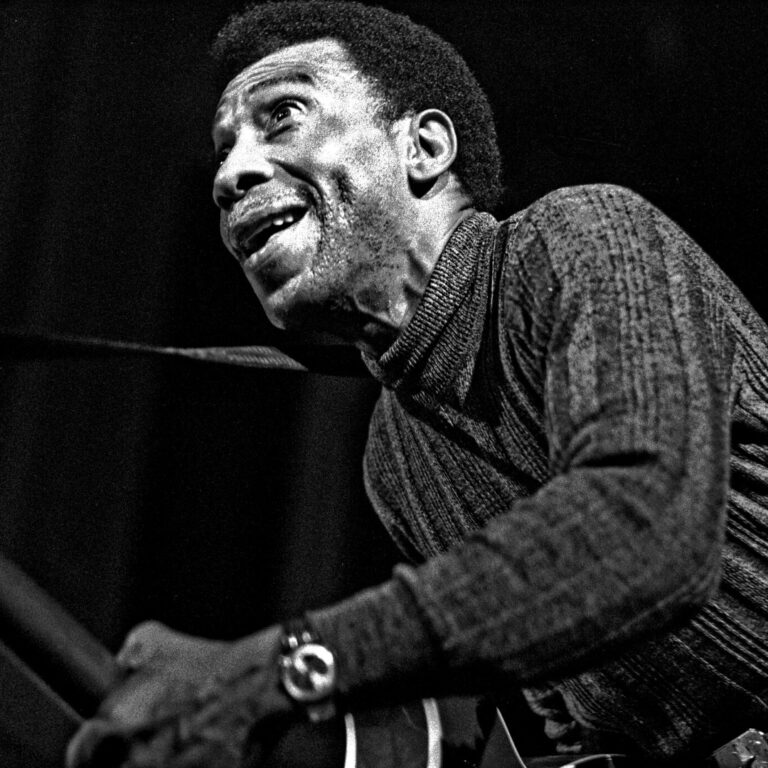 T-Bone Walker - Bluesmusiker